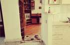 Apartament 3 camere , Parter , Str. Garoafei , jud B-N, Bistrita - 7