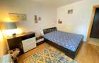 Apartament 2 camere-etaj 1-Podul de Piatra - 10