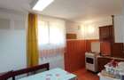 Ofer spre inchiriere apartamtent cu 2 camere in zona centrala - 7