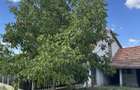 Vand casa in Told, Ungaria - 4