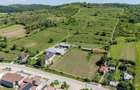 Crama premium de VANZARE -60 HA- CONAC ISTORIC- Podgoria Dragasani - 10