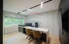 Birouri de inchiriat Oradea Rogerius, Dotari Premium, Pa... - 13
