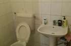 Spre inchiriere spatiu comercial ultracentral, Arad, zona Podgoria - 8