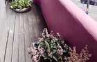 Apartament design 4 camere - 4
