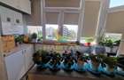 4 camere Brancoveanu Huedin Center loc parcare mobilat - 3