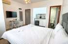 APARTHOTEL PREMIUM ÎN CENTRUL BUCUREȘTIULUI - 10