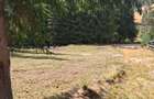 Vand teren in Marisel. - 1