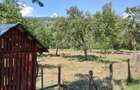 Teren intravilan in Bucova, comuna Bautar, la 3 euro mp - 2