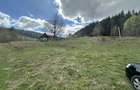 Vand teren Intravilan - 4
