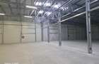 Vanzare depozit/hala/spatiu industrial Mogosoaia - Buftea - 10