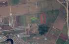 Teren - 10.000 mp Tunari - 1