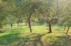 Casa de vanzare, 100 mp, teren 10.000 mp, zona Almasu Mare - 1