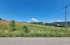 Teren intravilan Almasul Sec - 1