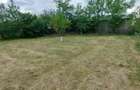 Teren intravilan de vanzare | 900 mp | Movila | Toate utilitatile - 8