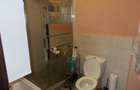 Casa, parter, Peciu Nou, 5 camere, 233mp, teren 780mp - 7
