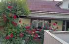 Casă cu 2 camere cu Teren 240 Mp în Sighetu Marmației - 4