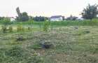 2000 mp intravilan Curti?oara - Dobrotinet - 1