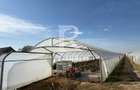 Teren intravilan agricol | 7029 mp | Satu Nou | Bihor