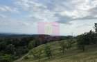 Refugiu in mijlocul naturii