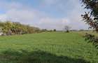 Teren 2.600 mp - deschidere 35m-intrare Pogoanele dinspre Buzau - 4