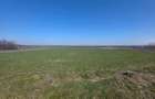 Teren de vanzare, 3800 mp, zona Mischii sat Gogosesti - 2