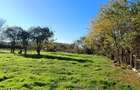 Casa cu teren intravilan si extravilan 9000 mp