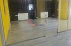 Spatiu Comercial/Industrial 544mp, 4euro/mp, Park industrial - 2
