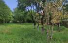 Casă cu 4 camere în Valea Cufundoasă - 2