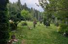Apartament cu terasă, liniște și vedere spre pădure – Predeal - 10