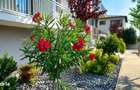 ASTORIA RESIDENCE 2 camere D 46 mp curte 41 mp Lunca Cetatuii C3 2028 - 14