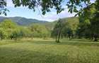 Teren intravilan in sat Prahuda, Com.Paltin - 1