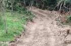Vand pamant in interiorul parcului DOMOGLED la 20 km de HERCULANE - 2