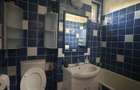 Inchiriez apartament Raul Doamnei - 8