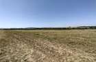 Nicolint, 2 Terenuri Extravilane, Arabil, 1.45 Hectare - 15