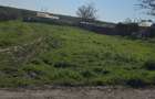 VAND/SCHIMB/INCHIRIEZ TEREN EXTRAVILAN-Baltag Tulcea - 1