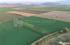 Teren extravilan, 8700 mp, pretabil agricultura sau inve... - 4