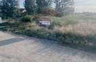 1040 mp, front 23ml, deschidere 2 strazi, Cernele - 2