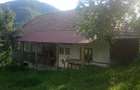Casa la munte de inchiriat in Apuseni, peisaj natural rustic, jud.Alba - 1