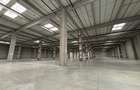 Modern Logistics Space for Lease – Ștefăneștii de Jos | 5,000–20,000 sqm - 2