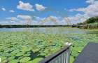 Dom00445 - vila de poveste la lac cu ponton in snagov - 7