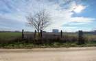 Afumati - Str. Iasomiei, 2409 MP, stradal, intravilan, deschidere 12 m