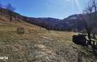 De vanzare teren intravilan 10,100 mp, cu anexa, Munteni - 9