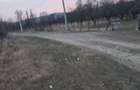 Teren de 10000 mp, în Berevoești - 2