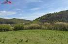 Teren intravilan 8330 mp de vanzare in Inuri Jud Alba