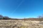 Vand teren intravilan 11.500 in Varadia de Mures, jud. Arad - 1