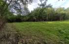 Teren de 3600 mp, în Central - 6