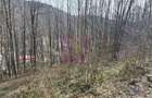 Tere intravilan de vanzare in Sinaia - 2