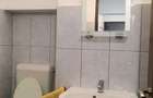Apartament 3 camere de inchiriat Arad, zona Orizont - Proprietar - 8
