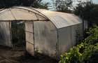 Casa in Bistret, Str. Unirii teren 1540 mp - 6