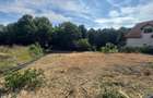 Bucium - Barnova , 1000 mp lipit de padure , acces privat - 1